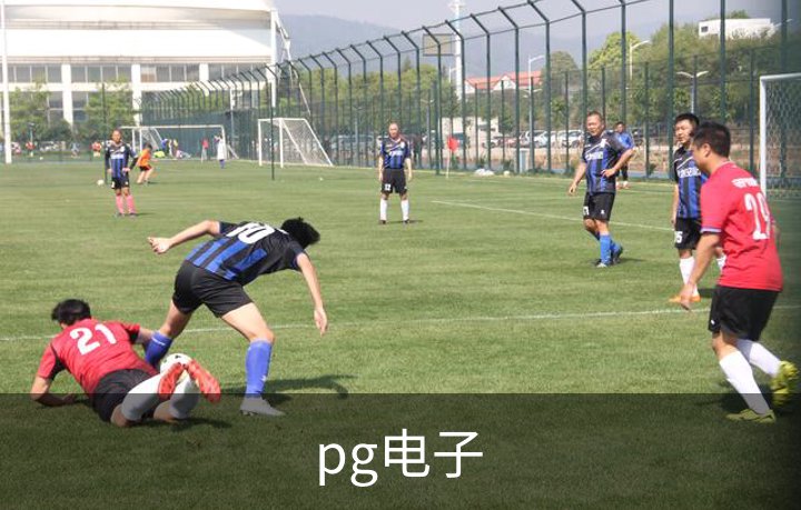 关于pg电子